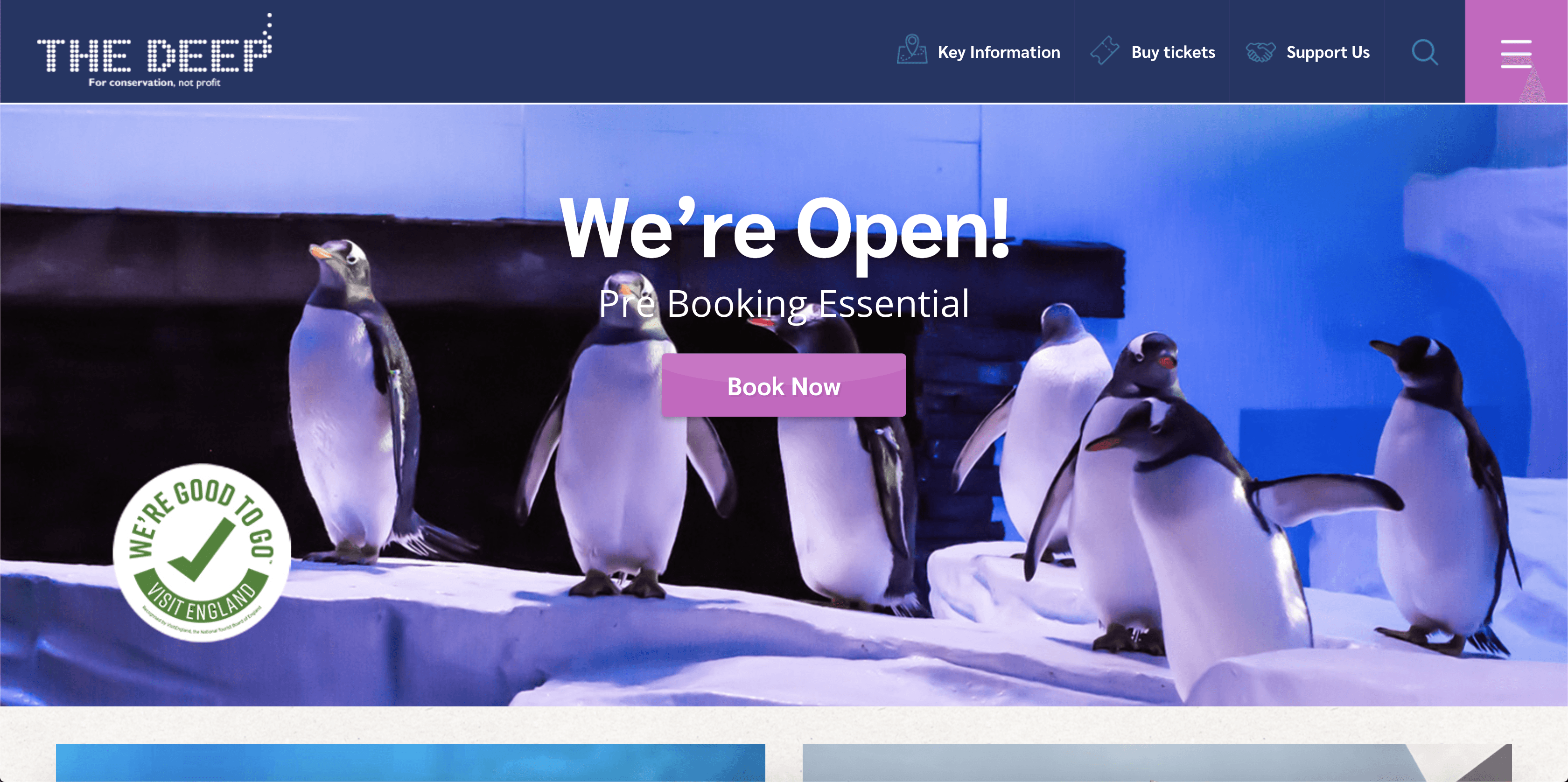 The Deep aquarium's homepage, with a group of penguins on ice, a 'We're open' message and a Book Now button.